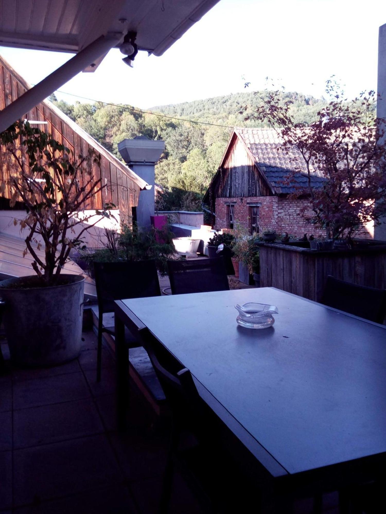 "Cote Nature", Appartement Cosy Au Coeur De Munster Munster  Exterior foto